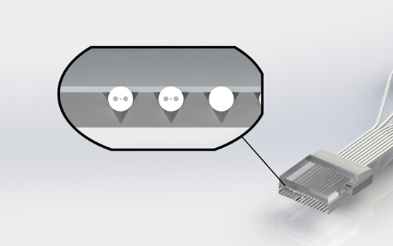 ชุดไฟเบอร์รักษาโพลาไรซ์ (PM Fiber Assemblies)